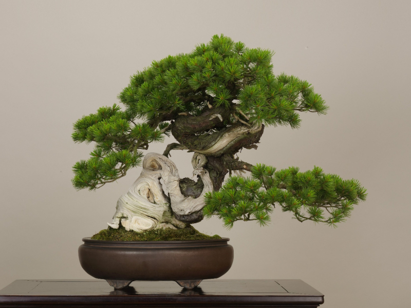 fotor_2023-2-11_10_30_30