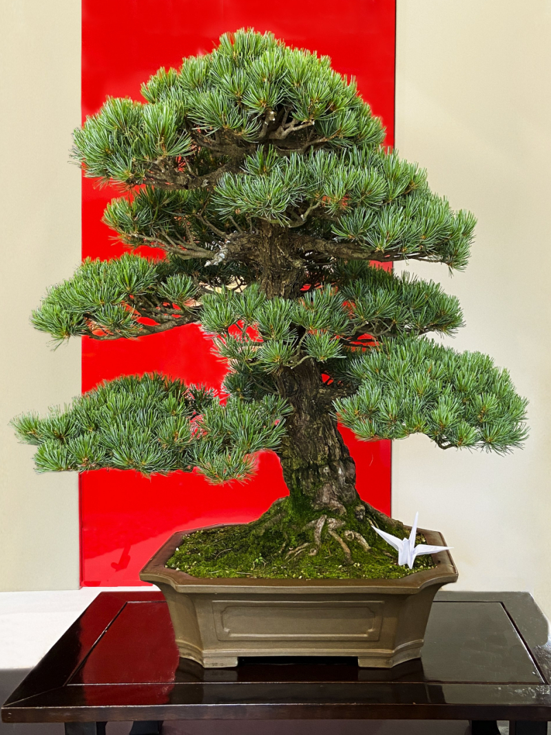 fotor_2023-2-11_10_39_18