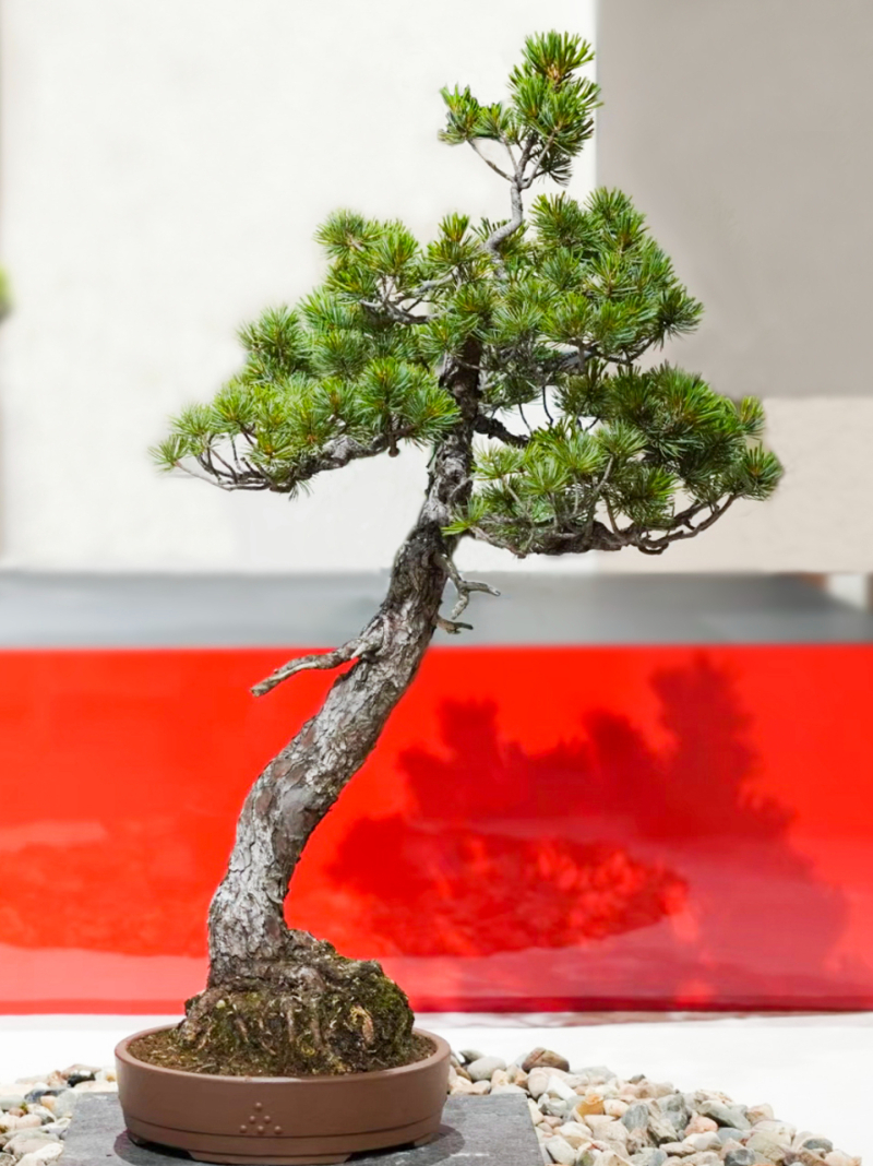 fotor_2023-2-11_10_41_41