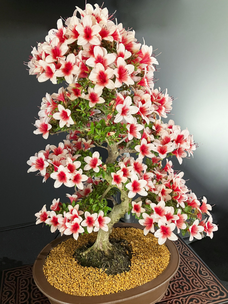 fotor_2023-2-11_10_44_59