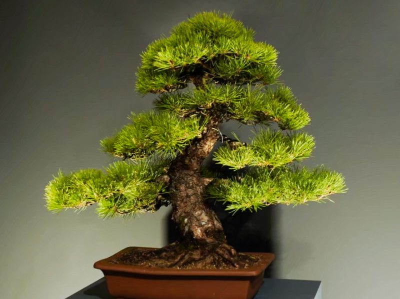 fotor_2023-2-11_10_47_10