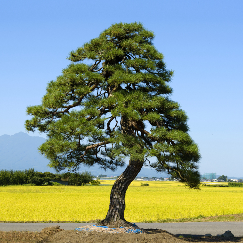 fotor_2023-2-11_10_5_59