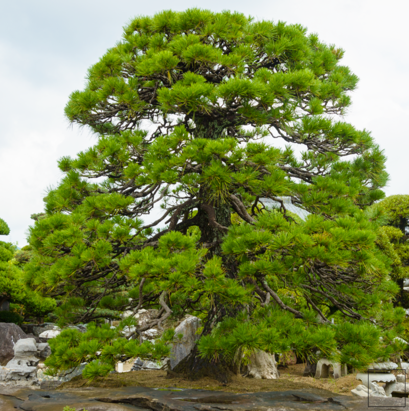 截图 2023-02-11 9.15.16