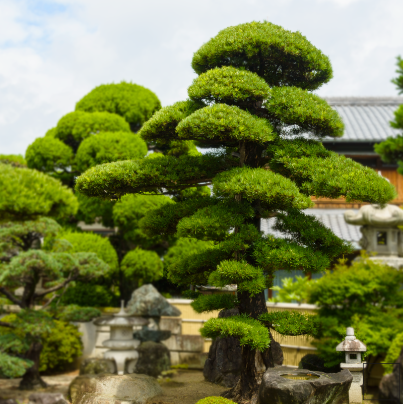 截图 2023-02-11 9.18.48