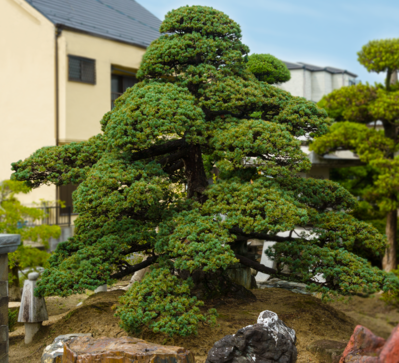 截图 2023-02-11 9.21.04