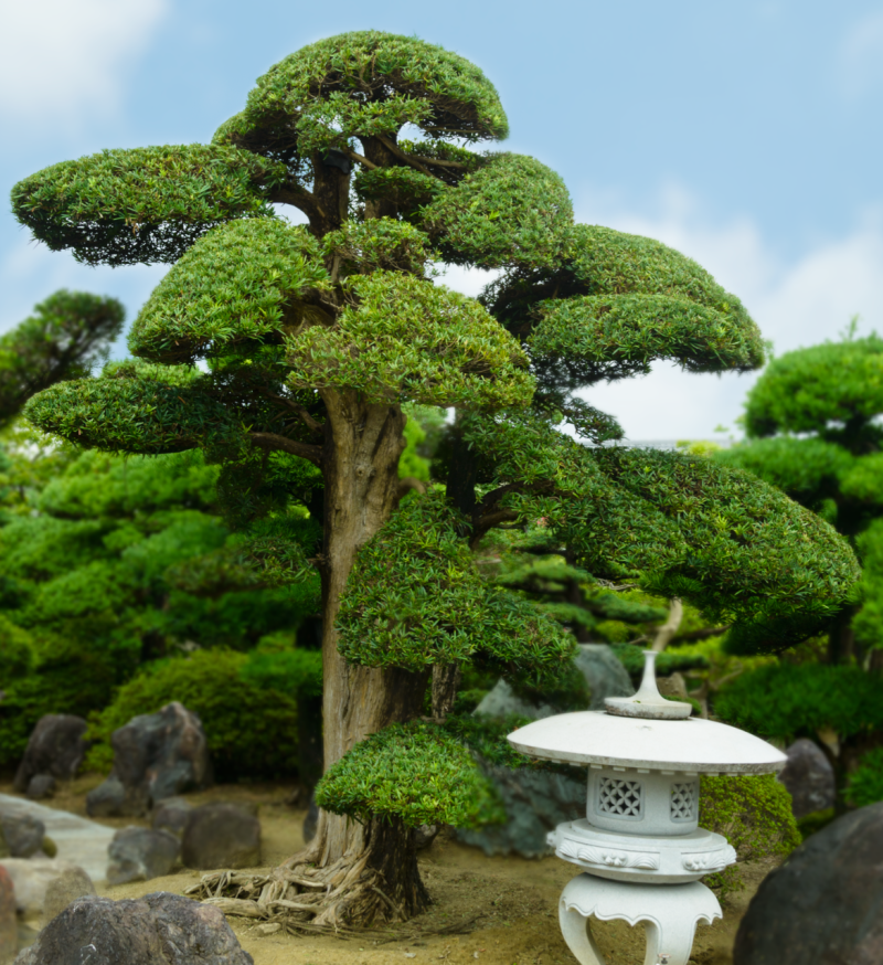 截图 2023-02-11 9.23.13