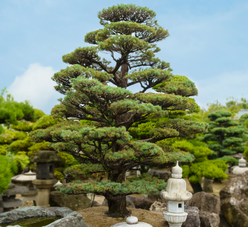 截图 2023-02-11 9.25.33