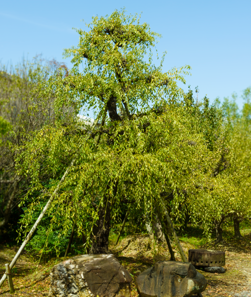 截图 2023-02-11 9.29.27