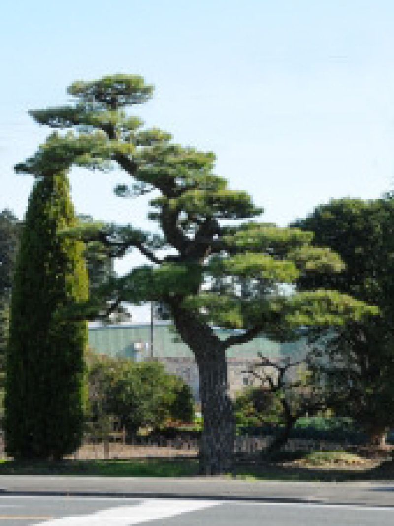 fotor_2023-2-11_9_53_42