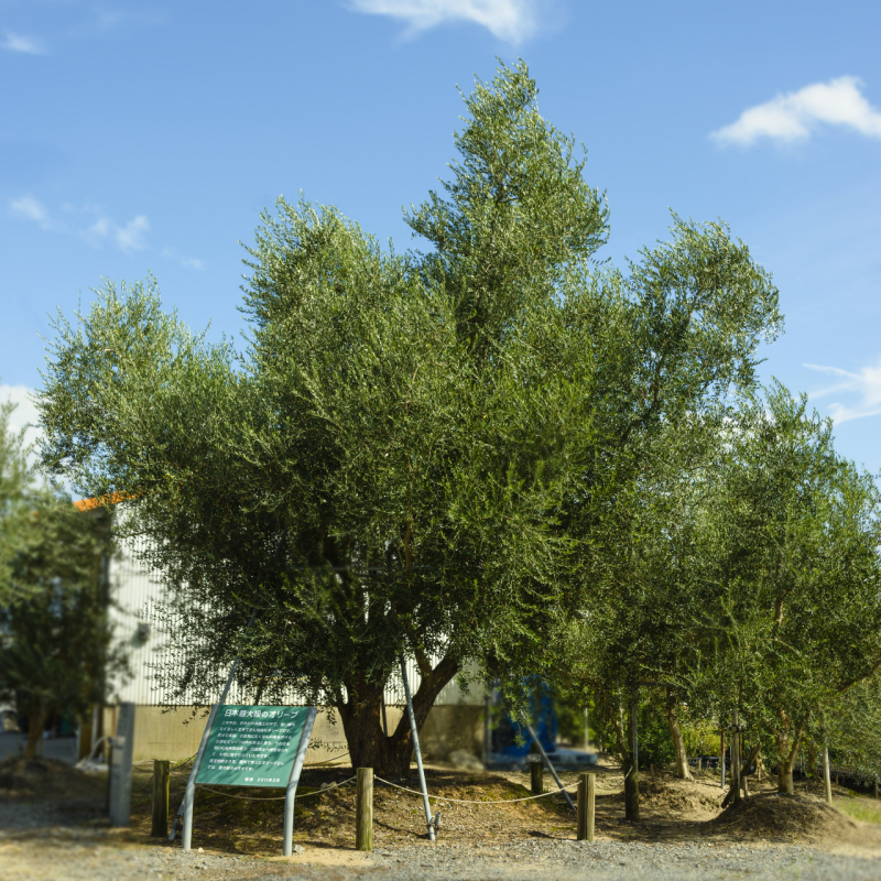 fotor_2023-2-11_10_14_47