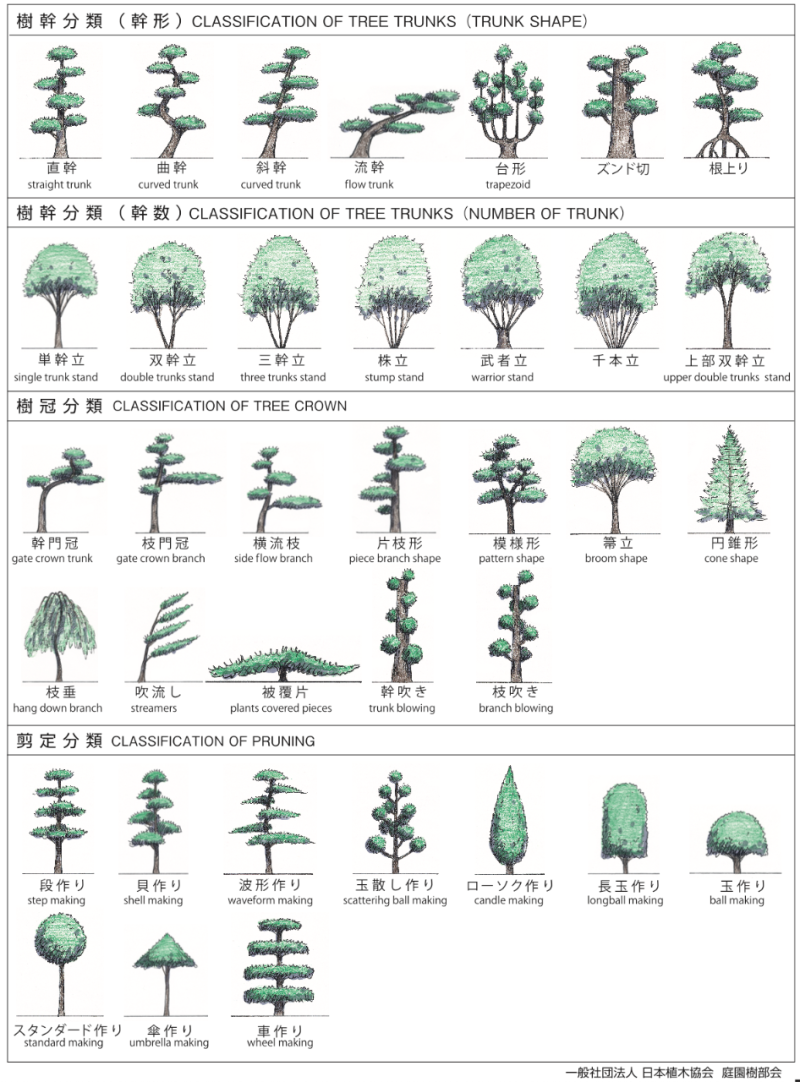 截图 2023-02-11 10.19.19